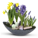 Arrangement in a Modern Container